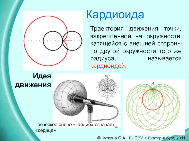 Улитка паскаля рисунок