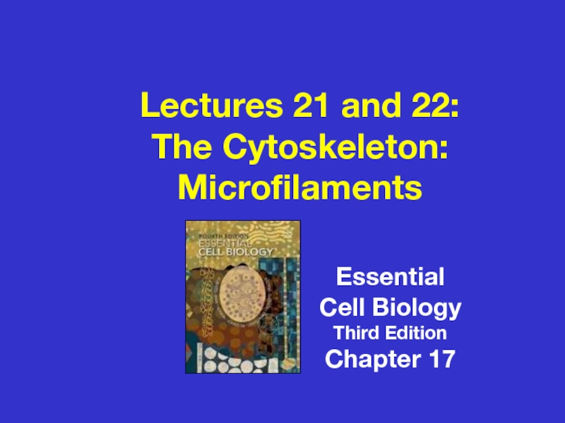 Lectures 21 and 22:
The Cytoskeleton:
Microfilaments
Essential
Cell