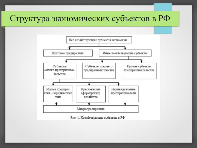 Субъекты экономики план