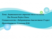 Анатомическое строение тела человека. The Present Perfect Tense