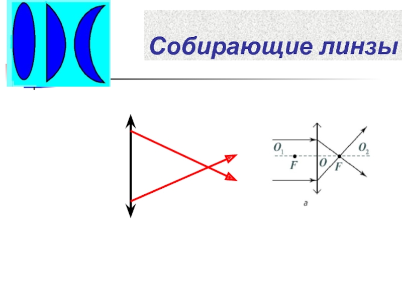 Собирающаяся линза рисунок