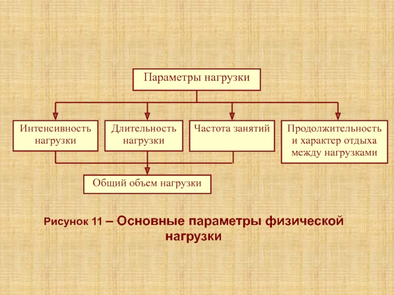 Лекция 5К Рисунок 11 – Основные параметры физической нагрузки Рисунок 11 – Основные параметры физической нагрузки