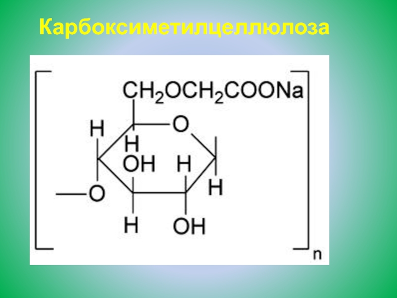 Химия биополимеров