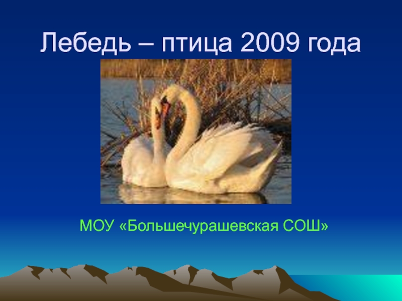 Лебедь – птица 2009 годаМОУ «Большечурашевская СОШ»