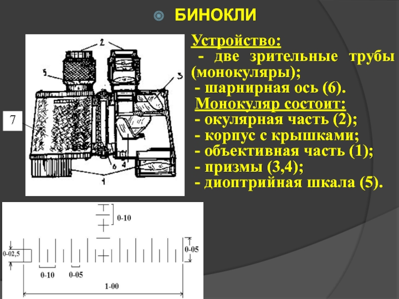 Схема устройства бинокля