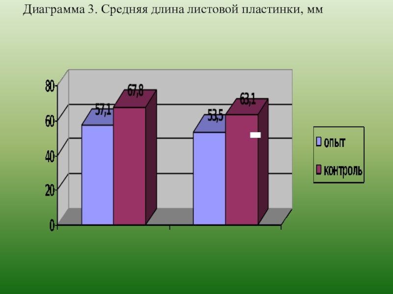 Средний 3