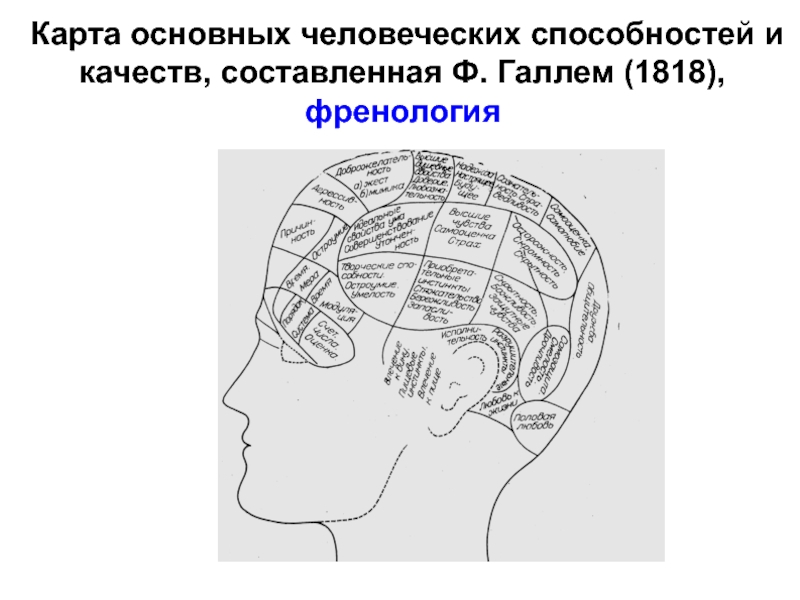 Френологическая карта галля