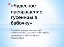 Проект Чудесное превращение  гусеницы в  бабочку