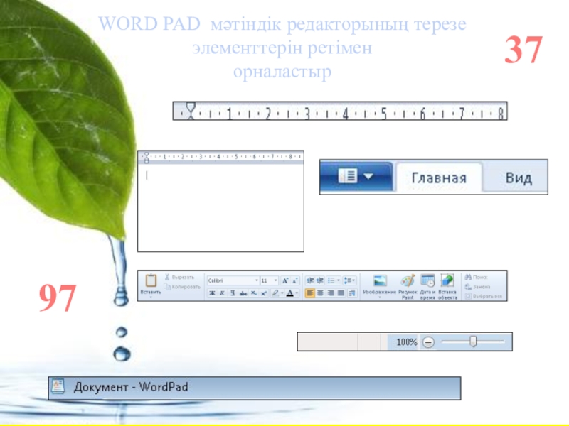 Word мәтіндік редакторы 3 сынып цифрлық сауаттылық