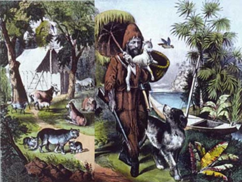 Какую культуру выращивал робинзон крузо на острове
