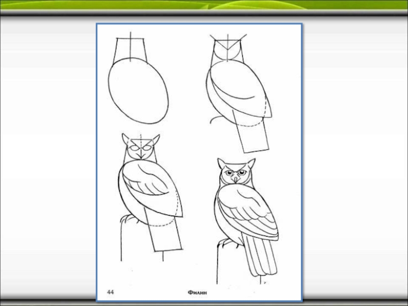Рисуем сову поэтапно для детей презентация