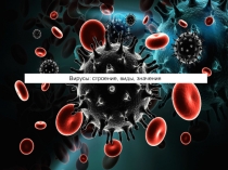 Вирусы: строение, виды, значения