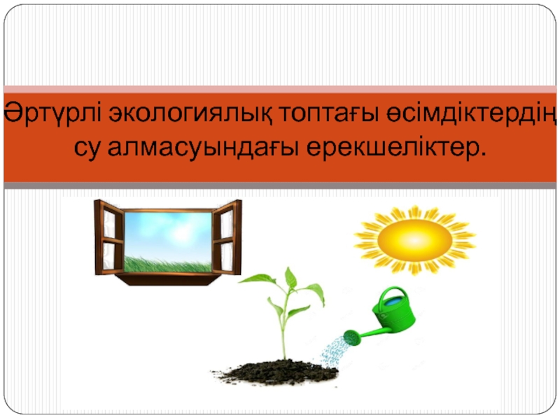 Әртүрлі экологиялық топтағы өсімдіктердің су алмасуындағы ерекшеліктер