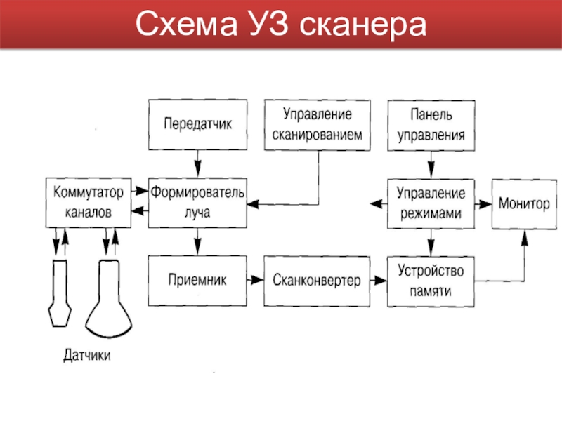 Структурная схема узи аппарата