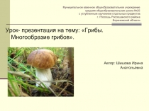 Грибы - Многообразие грибов