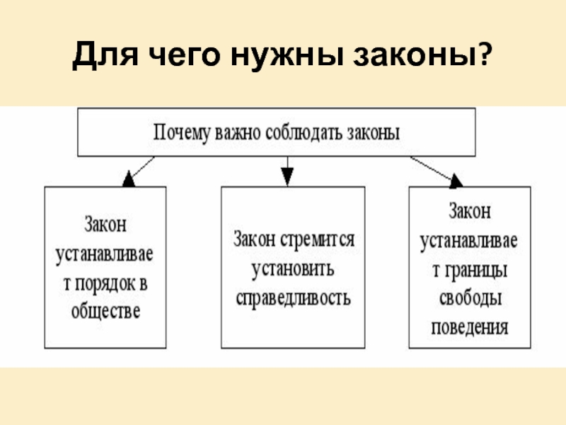 По каким правилам живет общество презентация 7 класс