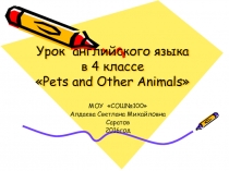 Pets and other animals