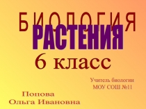 Растения 6 класс