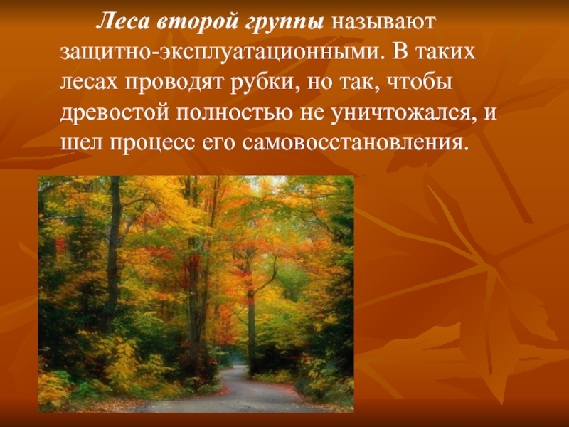 Три группы лесов. Леса второй группы. Группы лесов России. Перечислите группы леса. Леса первой группы.