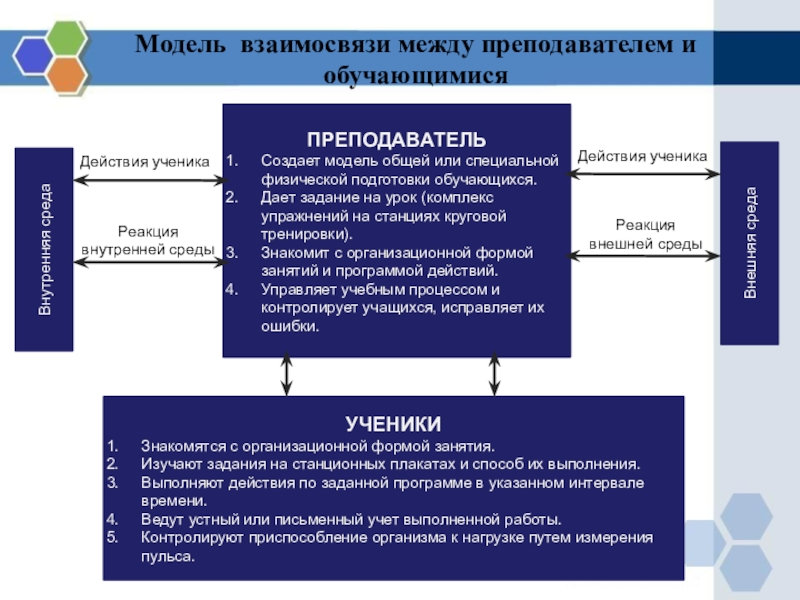 Моделирование взаимосвязей. Взаимосвязь между общей и специальной физ.