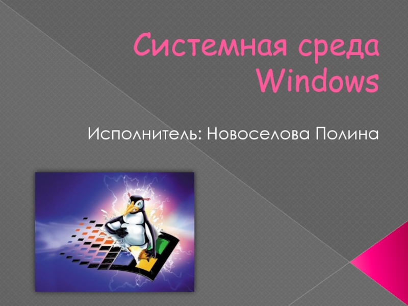 Презентация Системная среда Windows