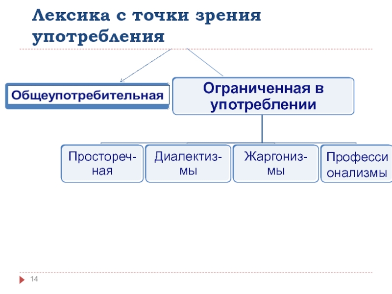 Лексика с точки зрения употребления 6 класс