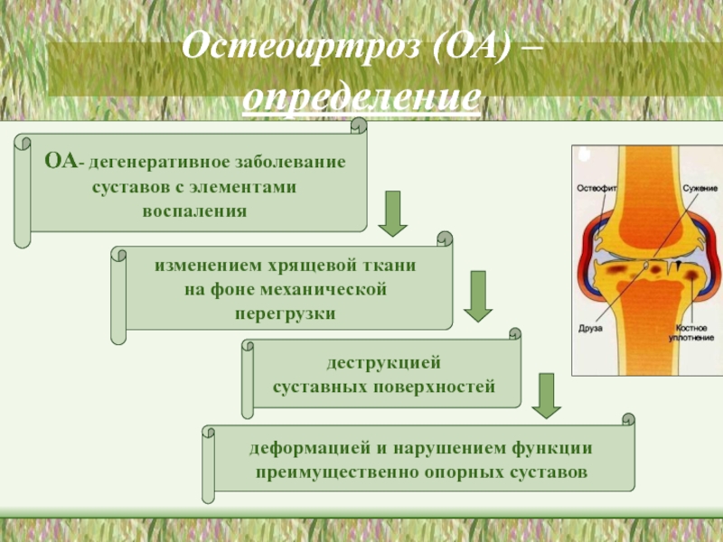 Дегенеративные заболевания суставов презентация