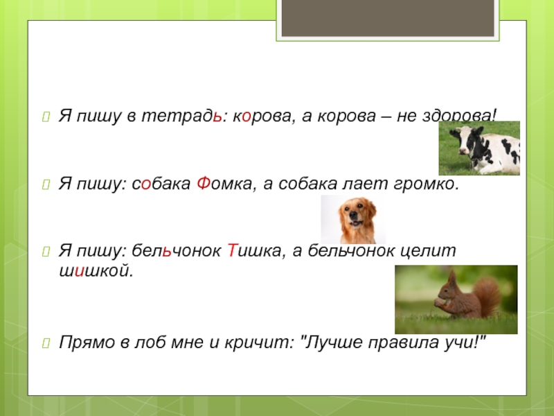 Лаять лающий или лаящий. Диктант собака громко лает. Собака громко лает. Лающая собака как пишется. Написание слова Бельчонок.