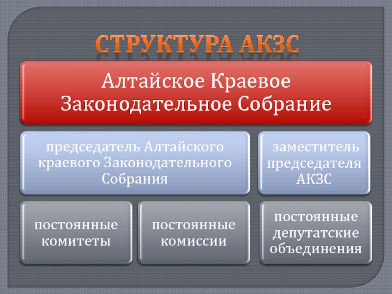Структура АКЗС