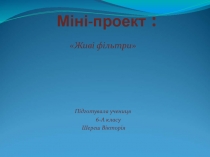 Міні-проект 