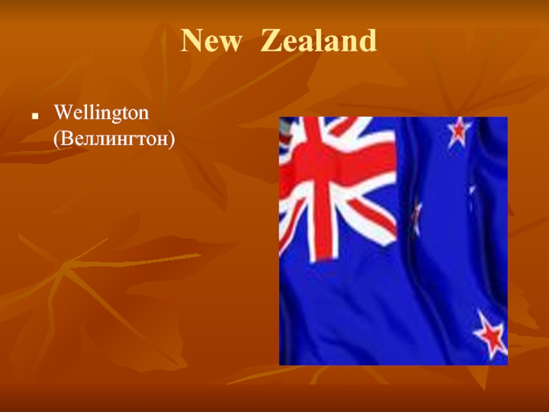New ZealandWellington (Веллингтон)