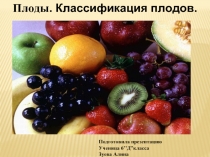 Плоды - Классификация плодов