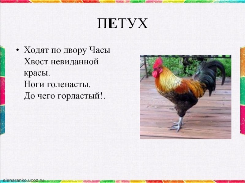 Предложение со словом петух