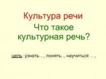 Культура речи