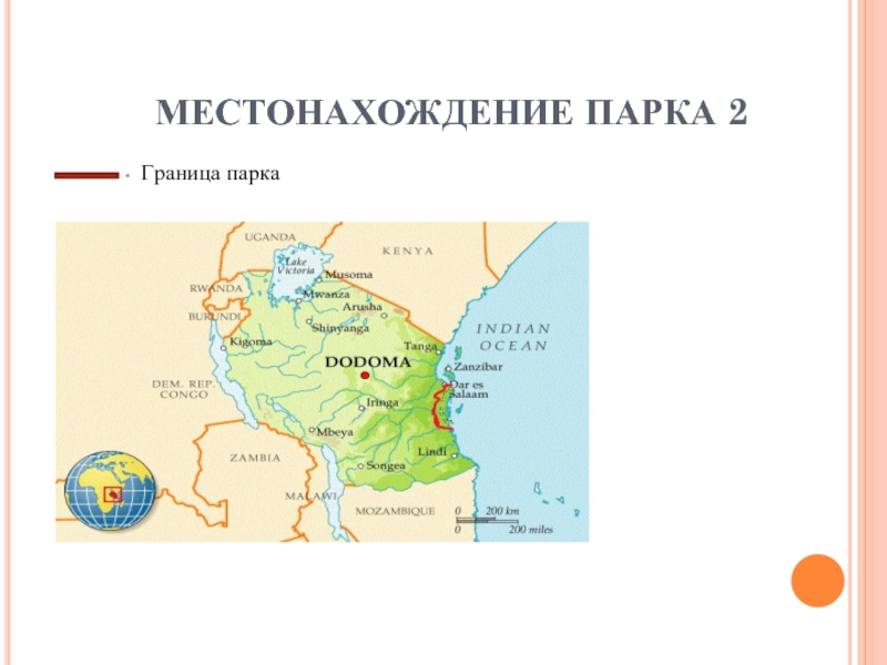 Проект по географии 7 класс африка национальный парк в танзании