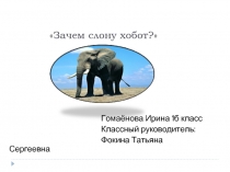 Зачем слону хобот?
