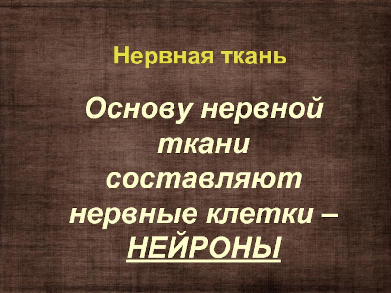 Основу нервной