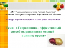 Гидропоника