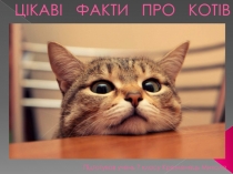 Цікаві факти про котів