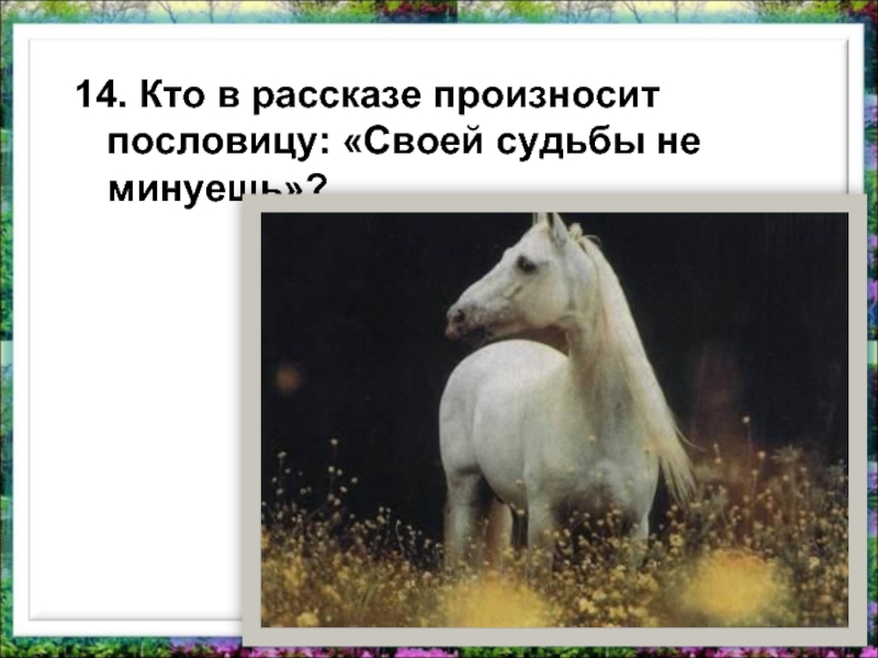 14. Кто в рассказе произносит пословицу: «Своей судьбы не минуешь»?