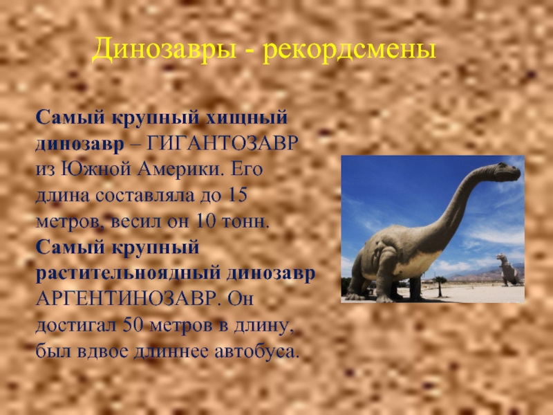 Динозавры - рекордсменыСамый крупный хищный динозавр – ГИГАНТОЗАВР из Южной Америки. Его длина составляла до 15 метров,
