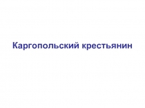 Каргопольский крестьянин