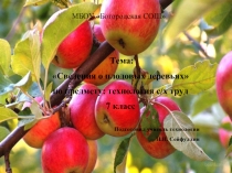 Урок по технологии 7 класс «Сведения о плодовых деревьях»