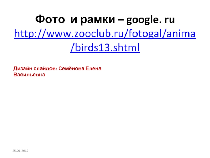Фото и рамки – google. ru  http://www.zooclub.ru/fotogal/anima/birds13.shtml Дизайн слайдов: Семёнова Елена Васильевна 25.01.2012