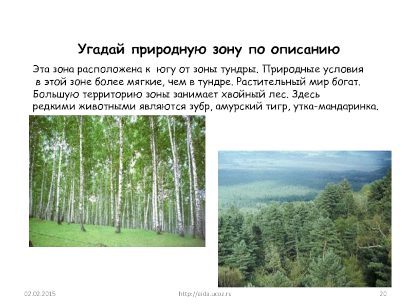http://aida.ucoz.ruУгадай природную зону по описаниюЭта зона расположена к югу от зоны тундры. Природные условия в этой зоне