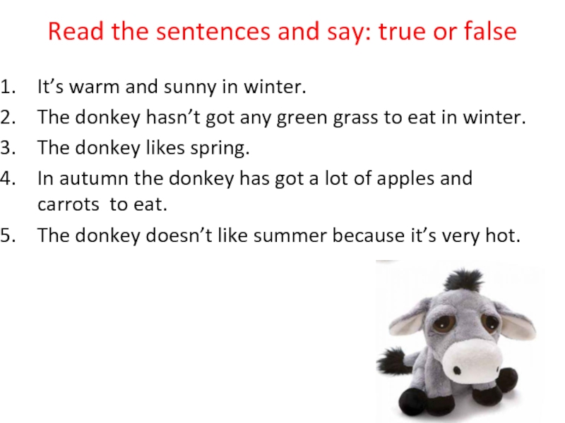 Read the sentences and say: true or falseIt’s warm and sunny in winter. The donkey hasn’t got