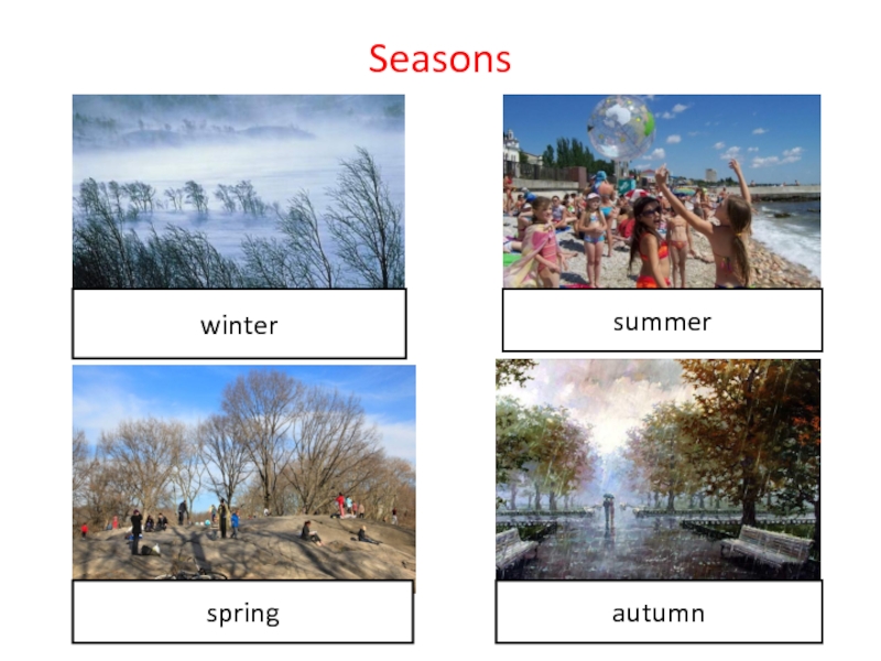 Seasonswinterspringsummerautumn