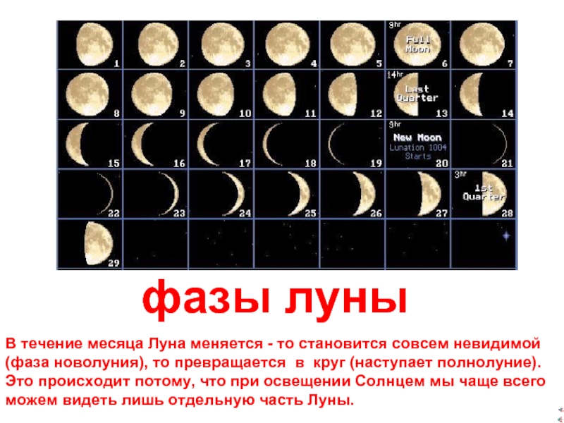фазы луныВ течение месяца Луна меняется - то становится совсем невидимой(фаза новолуния), то превращается в круг (наступает
