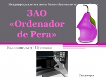 Бизнес-проект «Орденадор»