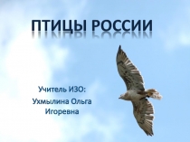 Урок ИЗО «Птицы России»